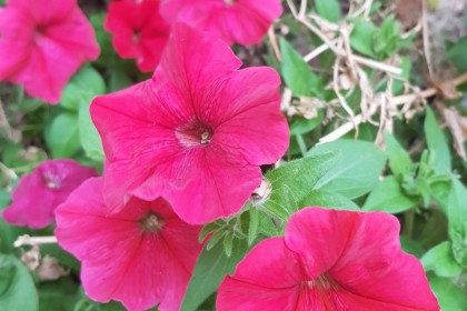 2018년 가을대심방 3, 4구역