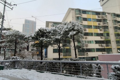 1월 둘째주 교회 전경 및 예배